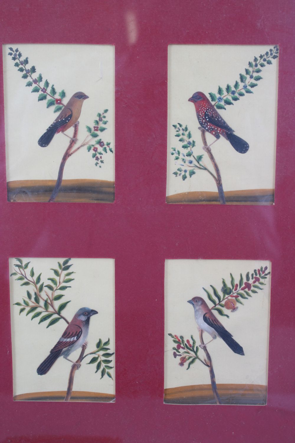 A COLLECTION OF SEVEN VARIOUS 19TH CENTURY BIRD PAINTINGS ON MICA in four frames. - Image 3 of 4