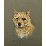 Marjorie Cox (1915-2003) British. "Jonathan", Study of a Terriers Head, Pastel, Signed, Inscribed