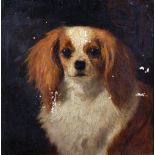 William Elstob Marshall (act. 1859-1880) British. 'Blenheim Spaniel', a King Charles Spaniel, Oil on