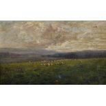 Harold Goldthwait (1869-1932) British. A Landscape with Sheep, Oil on Panel, Signed, 8" x 12".