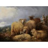 William Watson (1831-1921) British. Sheep in a Highland Landscape, Oil on Canvas, Signed and
