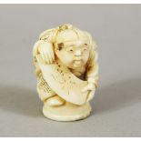 A JAPANESE MEIJI PERIOD CARVED IVORY NETSUKE OF A BOY, the boy stood holding a scroll, 3.8cm high.