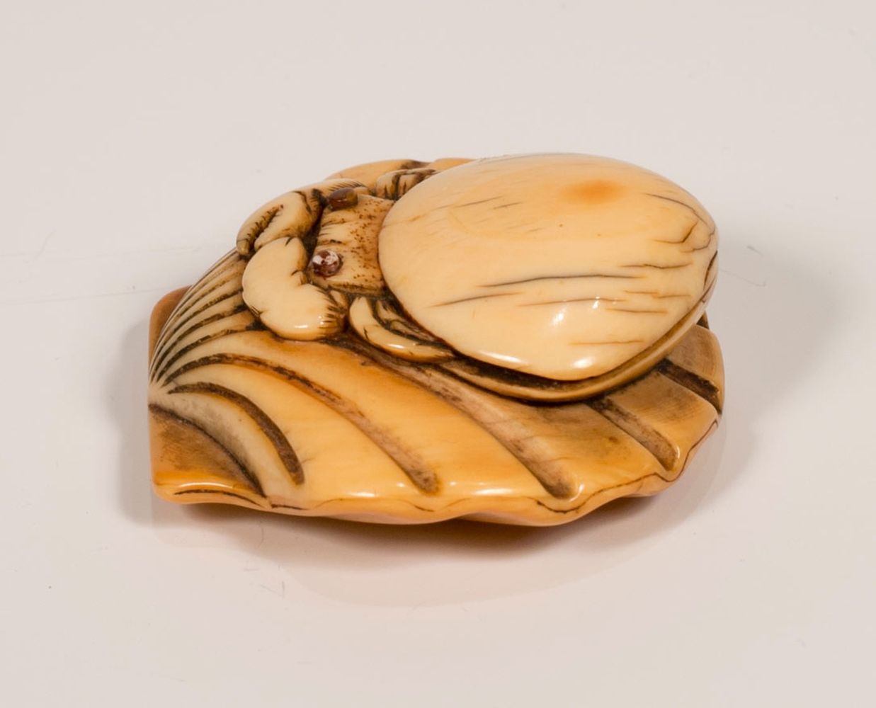 A JAPANESE EDO PERIOD CARVED IVORY NETSUKE OF CRAB & SHELLS, the crab upon the shell, the crabs eyes - Image 6 of 8