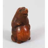 A JAPANESE MEIJI PERIOD CARVED WOODEN NETSUKE OF A BADGER, the badger in an upright position with