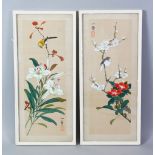 A GOOD PAIR OF CHINESE SCHOOL PAINTINGS ON SILK, a bird perched in a prunus tree, with its companion