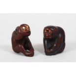 TWO GOOD JAPANESE MEIJI PERIOD CARVED WOODEN NETSUKE OF MONKEYS, both monkeys in seated positions