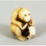 A JAPANESE MEIJI PERIOD CARVED IVORY NETUSKE OF A MONKEY AND CRAB, the money in a seated position