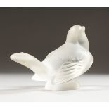 A LALIQUE FROSTED GLASS MODEL OF A BIRD, seated with folded wings, (small tail chip). 4ins long.