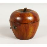 A TREEN CARVED WOOD APPLE TEA CADDY. 4ins high.