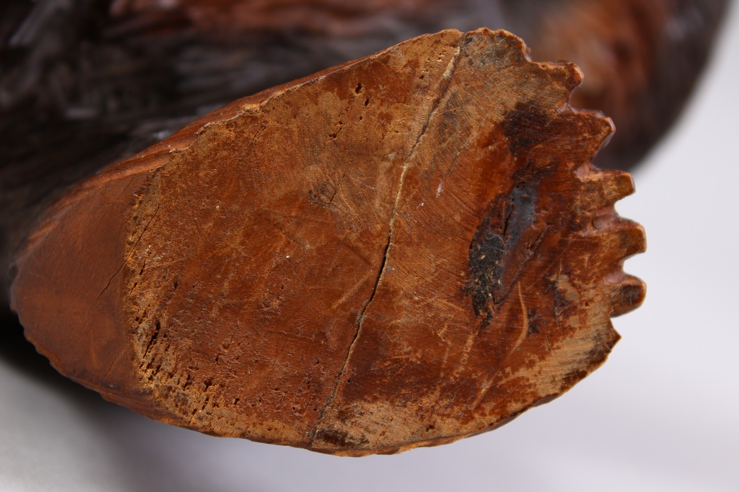 A GOOD 19TH CENTURY BLACK FOREST CARVED WOOD STANDING BEAR CADDY, with hinged head. 11ins high. - Image 11 of 12