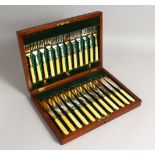 A GOOD CASED SET OF TWELVE FISH KNIVES AND FORKS, with ivory handles. Case: 14ins wide.