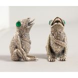 A GOOD PAIR OF NOVELTY SILVER FROG SALT AND PEPPERS. 2.25ins high.