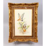 A ROYAL WORCESTER GILT FRAMED PLAQUE "REDSTARTS". Signed E. Townsend (AF). 14ins x 9ins.