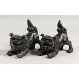 A SMALL PAIR OF BRONZE DOGS OF FO. 6.5ins long.