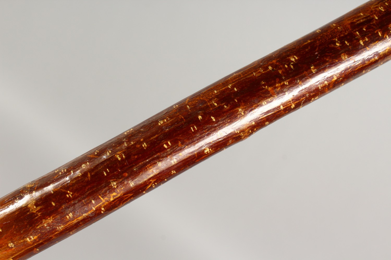 A WALKING STICK, the handle carved as a trout. 51ins long. - Image 5 of 6