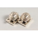 A GOOD PAIR OF NOVELTY SOLID SILVER TORTOISE SALT AND PEPPERS.