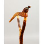 A THUMBSTICK, the handle carved as a pheasant. 53ins long.