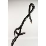 A RUSTIC BLACKTHORN WALKING STICK, carved with snake heads. 36.5ins long.
