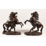 AFTER GUILLAUME COUSTOU A PAIR OF EARLY 20TH CENTURY MARLEY HORSES. 17ins high.