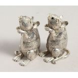A PAIR OF .800 SILVER NOVELTY MICE SALT AND PEPPERS. 2.25ins.