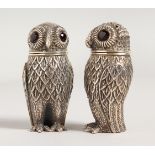 A GOOD PAIR OF NOVELTY SOLID SILVER OWL SALT AND PEPPERS with glass eyes.