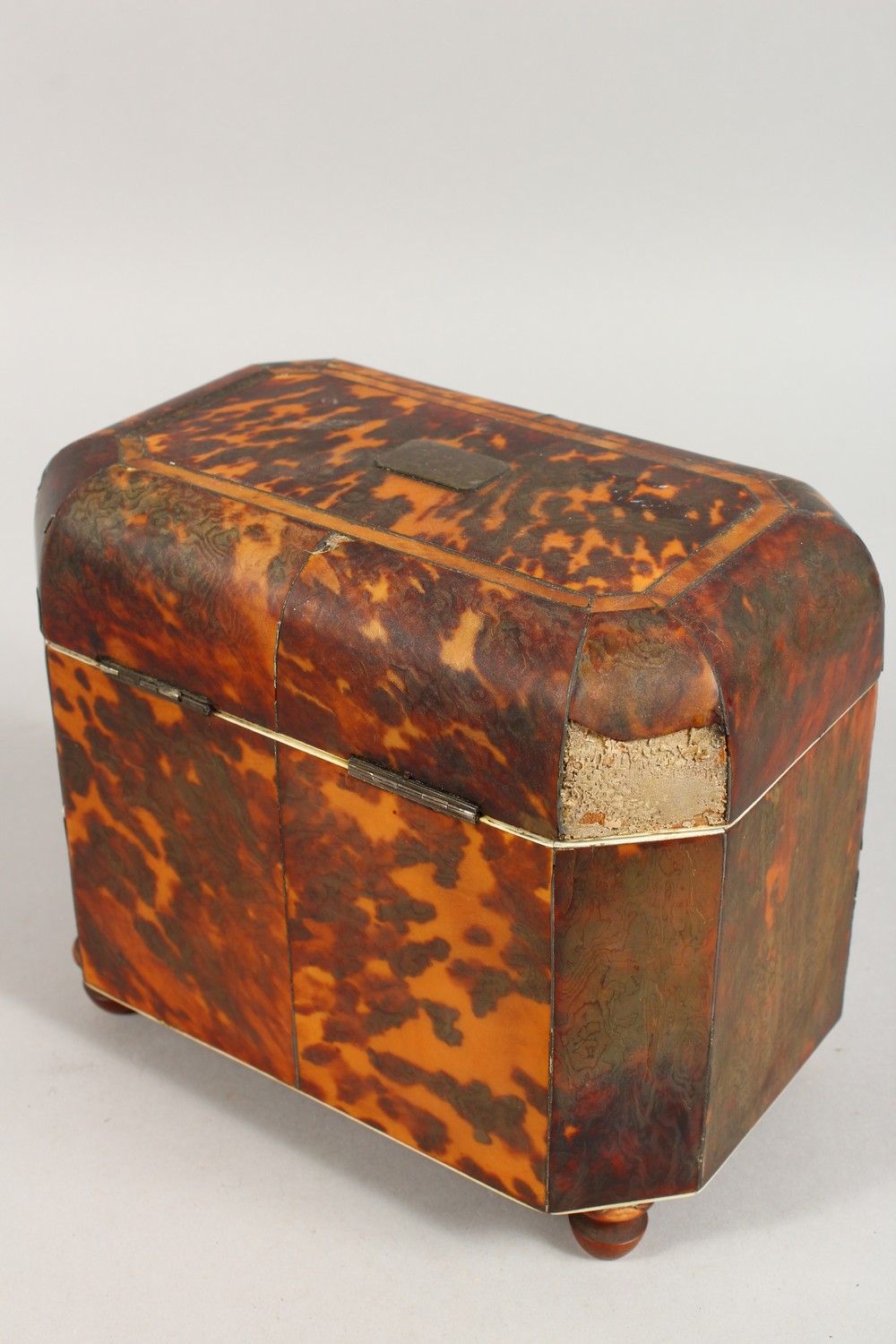 A GOOD GEORGE III TORTOISESHELL AND IVORY TWIN COMPARTMENT TEA CADDY, with plain silver plaque and - Image 4 of 9