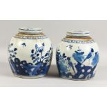 A PAIR OF BLUE AND WHITE GINGER JARS. 10ins high.