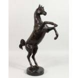 A CAST BRONZE MODEL OF A REARING HORSE, on a circular marble base. 22ins high.