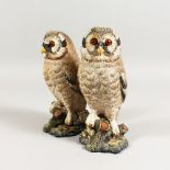 A PAIR OF CONTINENTAL PAINTED TERRACOTTA OWLS, each standing on a naturalistic base. 8ins high.