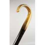 A HORN HANDLED EBONY WALKING STICK. 34.5ins long.