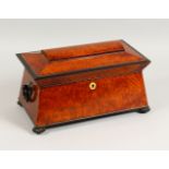 A GOOD VICTORIAN BURR WOOD AND EBONISED TEA CADDY, of sarcophagus form, with ring handles and carved