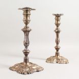 A PAIR OF CANDLESTICKS, with shell cast sconces, baluster columns on shell cast bases. London 1907
