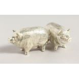 A PAIR OF .800 SILVER NOVELTY PIG SALT AND PEPPERS. 2.25ins.