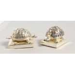 A PAIR OF .800 SILVER NOVELTY TORTOISE SALT AND PEPPERS. 2.25ins.