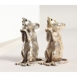 A GOOD PAIR OF NOVELTY SILVER MICE SALT AND PEPPERS. 2.25ins high.