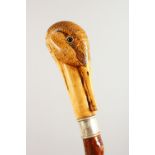A WALKING STICK, the handle carved as a bird. 50ins long.