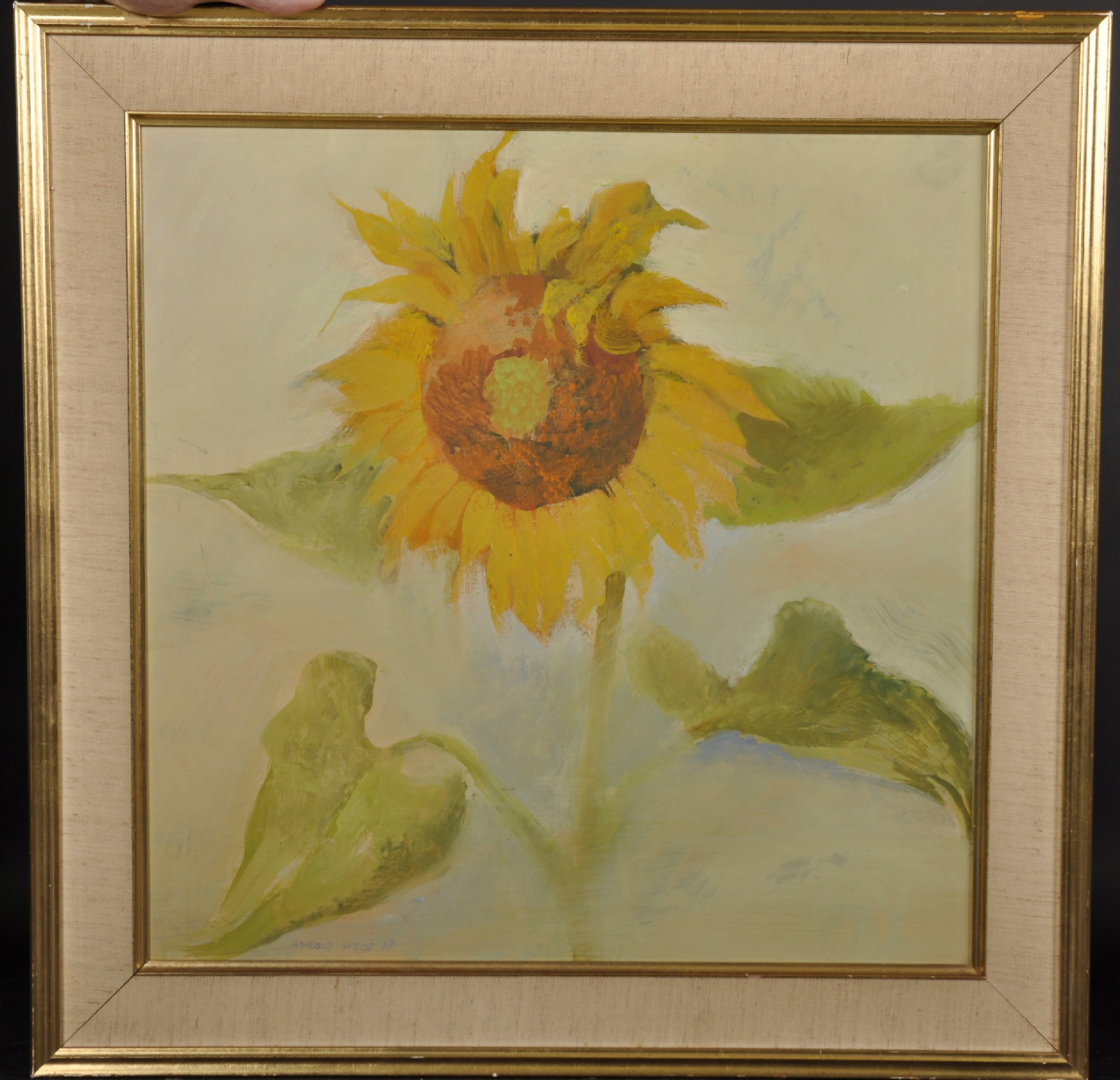 Harold Wood (1918-2014) British. Study of a Sunflower, Oil on Board, Signed and Dated '69, 18" x - Image 2 of 4