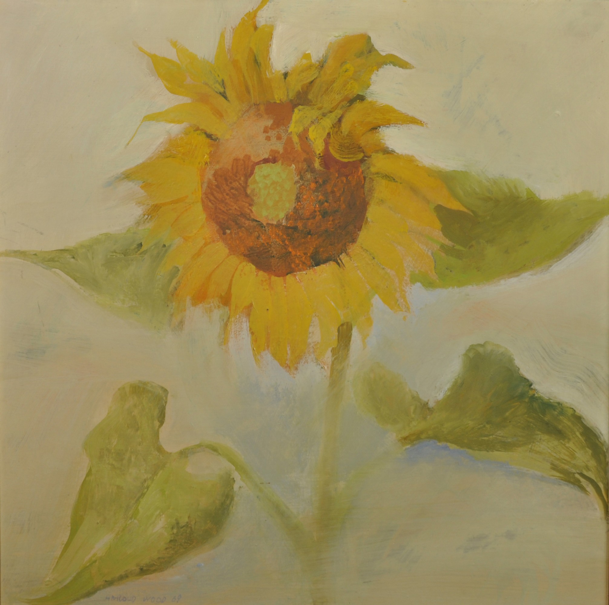 Harold Wood (1918-2014) British. Study of a Sunflower, Oil on Board, Signed and Dated '69, 18" x