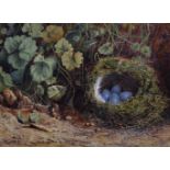 William Henry Hunt (1790-1864) British. Still Life with Eggs in a Bird's Nest, surrounded by Leaves,