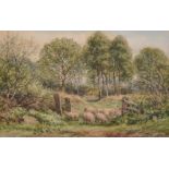 Circle of George Shalders (1826-1873) British. Sheep on a Country Path, Watercolour, 8.25" x 12.