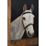 Frances Mabel Hollams (1877-1963) British. Head of a Grey Horse, over a Stable Door, Oil on Panel,