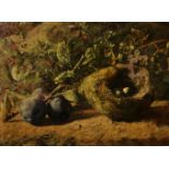 Circle of Charles Archer (1855-1931) British. A Still Life with Eggs in a Bird's Nest, Plums, and