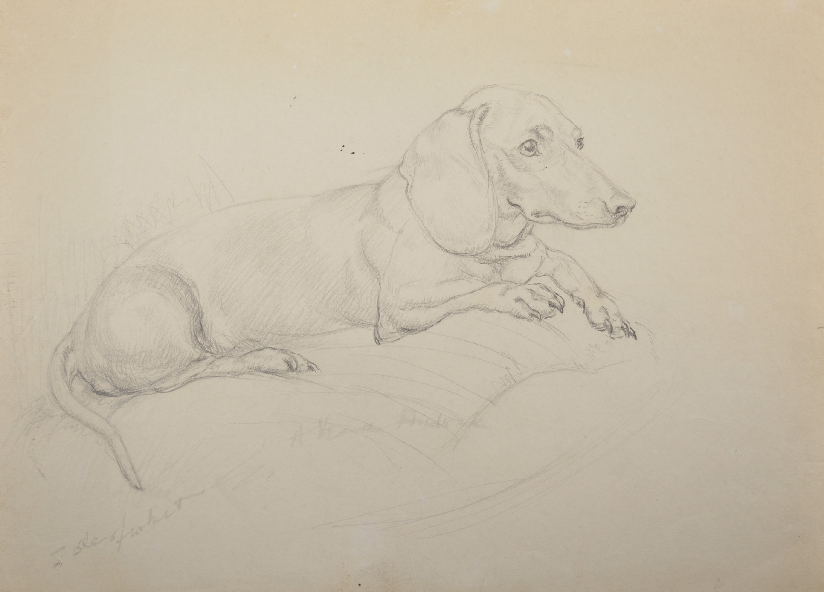 Athene Andrade (1908- ?) British. Study of a Dachshund, seated on a Sofa, Pencil, Signed and
