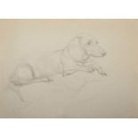 Athene Andrade (1908- ?) British. Study of a Dachshund, seated on a Sofa, Pencil, Signed and