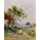 Robert Angelo Kittermaster Marshall (1849-1926) British. A Surrey Lane, with Sheep Grazing,