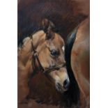 Susan Crawford (1941- ) British. Sketch of a Foal's Head, Oil on Board, 11.75" x 8".