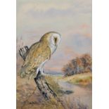 Tom Bowles (20th Century) British. "Night Watchman", Study of an Owl, Watercolour, Signed, and