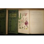 STEPP (E.) Favourite Flowers, 4 vols, 8vo, 316 col. plates, cloth gilt, L., 1897 (4).