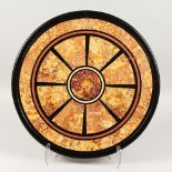 A VERY GOOD 19TH CENTURY MARBLE INLAID CIRCULAR TABLE TOP with segmented segments. 19ins diameter.