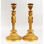 A SUPERB PAIR OF LOUIS XVITH GILT BRONZE CANDLESTICKS after a model by Jean-Demosthene Dugourc,